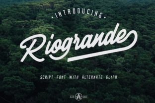 Riogrande: A Romantic Script Handwritten Font for Elegant Branding